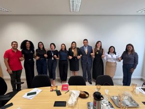 IMPERATRIZ – Reunião define estratégias e parcerias de campanha institucional