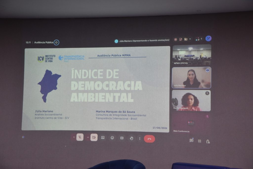 Dados sobre democracia ambiental foram apresentados